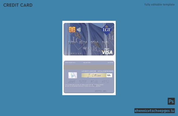 Beispielvorschau der Visa-Debitkarte der LGT Bank Liechtenstein